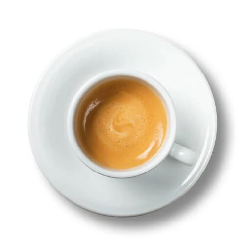 iced brown sugar oatmilk shaken espresso