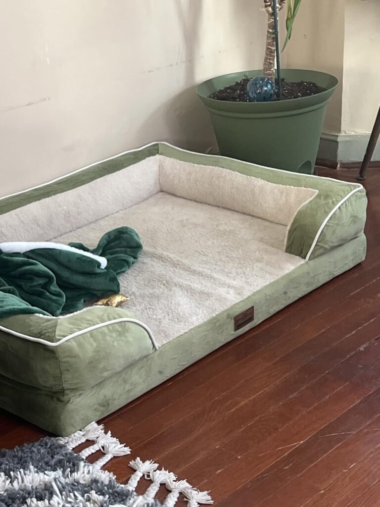 dog sofa bed