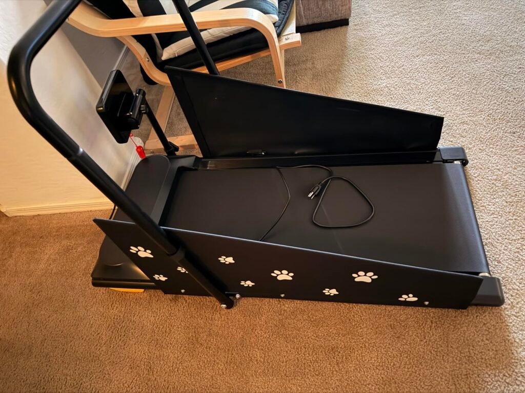 dog treadmill for large dogs