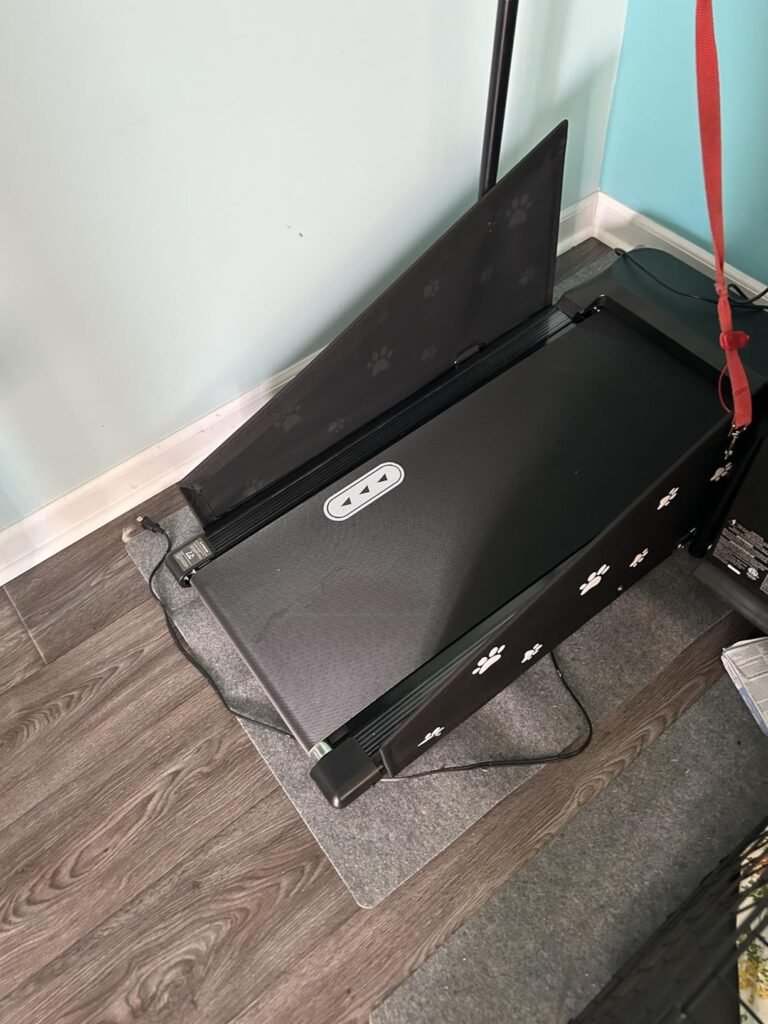 treadmill for dogs