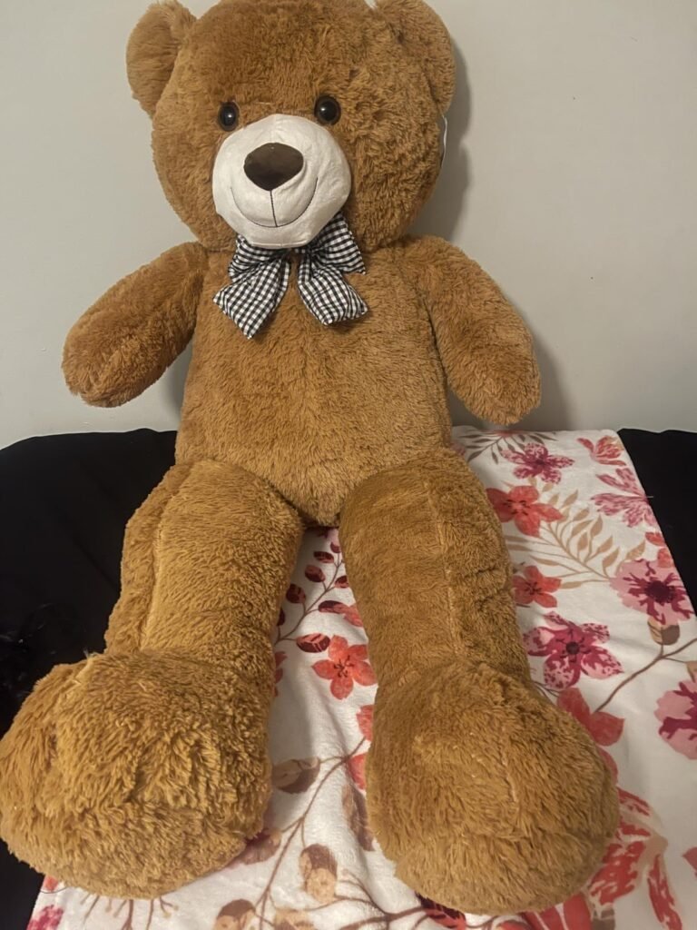 what is a teddy bear dog